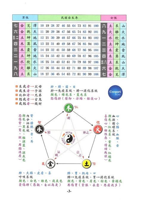 81靈動數怎麼算